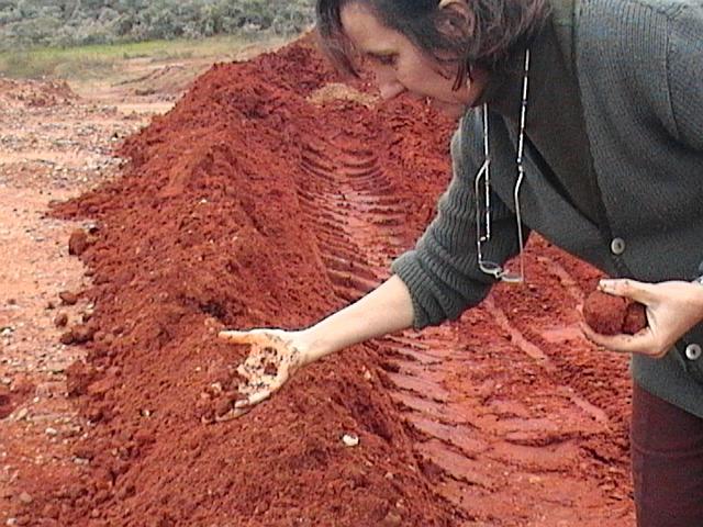 Seleccion de Tierras_02.jpg